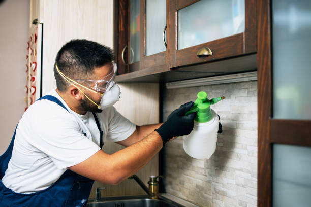 Best Residential Pest Control  in Farm Loop, AK