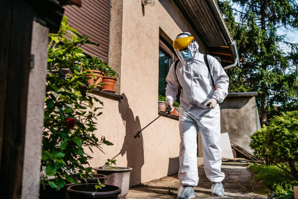 Best Rat Extermination Near Me  in Farm Loop, AK
