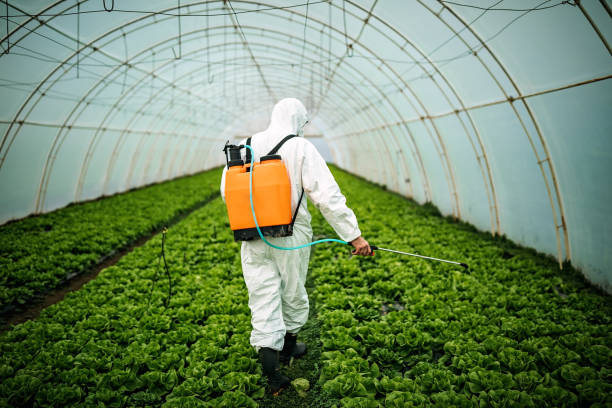 Best Cockroach Control Services  in Farm Loop, AK
