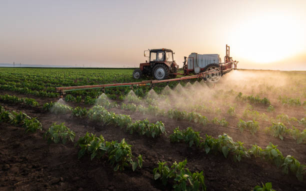 Insect Control in Farm Loop, AK