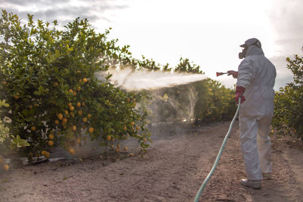 Professional Pest Control in Farm Loop, AK