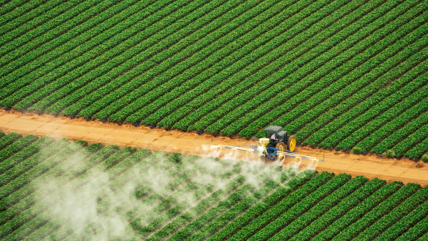 Best Local Pest Control Services  in Farm Loop, AK