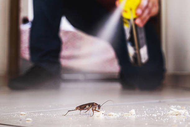 Best Emergency Pest Control  in Farm Loop, AK